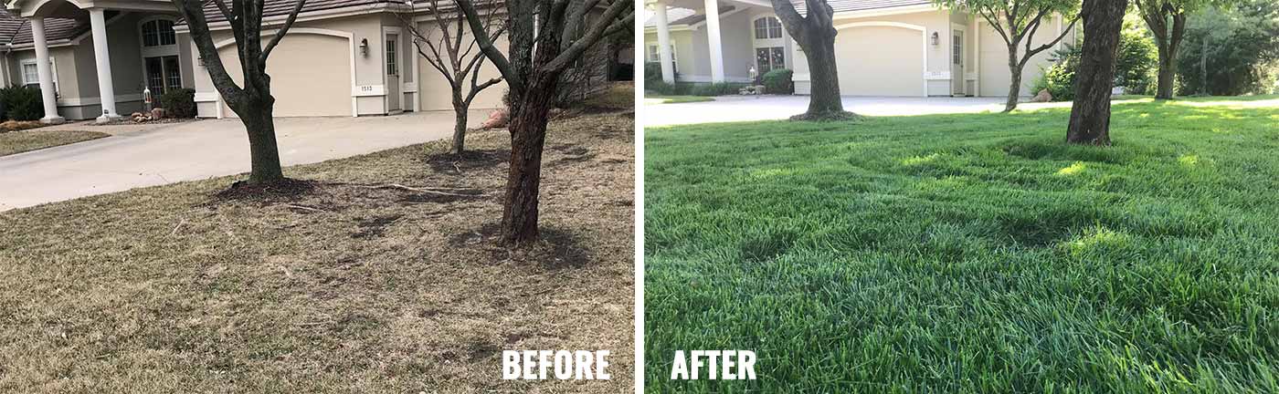 -Angela, Lawrence, KS"When Eric took over our lawn, it instantly looked better."
